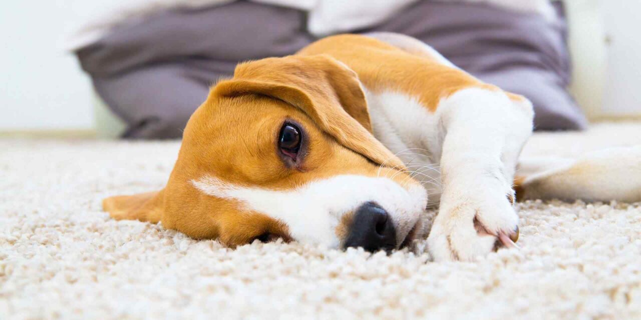 Benefits of Professionally-Cleaned Heating System