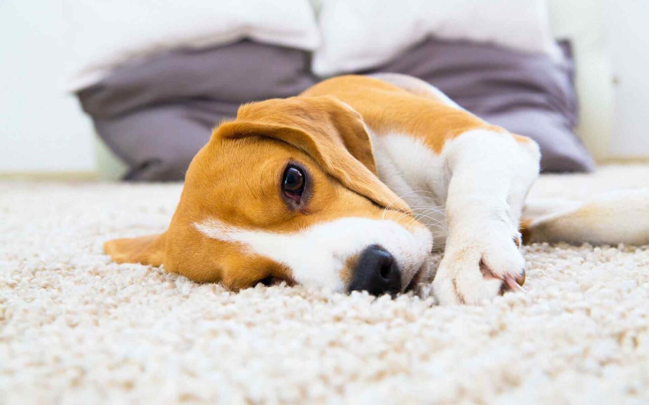 Benefits of Professionally-Cleaned Heating System